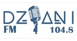 Dziani FM LOGO