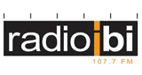 Radio Ibi LOGO