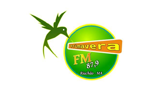 Rádio Primavera FM LOGO