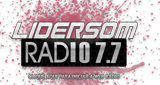 Lidersom LOGO