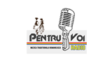 Radio Pentru Voi LOGO