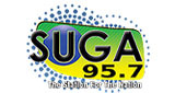 Suga WSGD-LD 95.7 FM LOGO