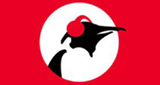 Pinguin Radio LOGO