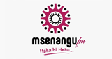 Msenangu FM LOGO