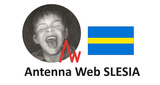 Antenna Web SLESIA LOGO