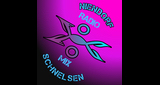 niendorf-schnelsen-mix LOGO