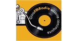 GINO FM BLUES LOGO