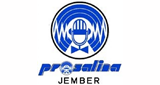 Prosalina Radio LOGO