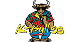 93.3 The Bull LOGO