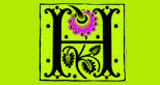 Harman Radio LOGO