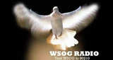 WSOG Catholic Radio 88.1 FM LOGO