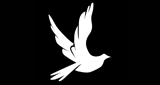 Xvh Radio LOGO