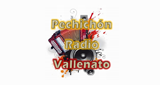 Pechichón Radio Vallenato LOGO