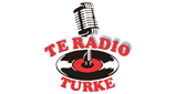 TE Radio TURKE LOGO