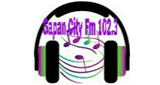 Gapan City Fm 102.3 LOGO