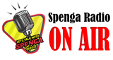 Spenga Radio Mojokerto LOGO