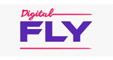 Digital Fly LOGO