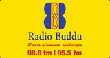 Radio Buddu 98.8FM and 95.5FM LOGO