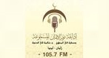 Radio Nour Aleman LOGO