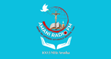 Amani Radio Fm 100.5MHz LOGO