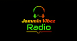 Jammin Vibez: Caribbean Variety Mix LOGO