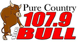 The Bull LOGO