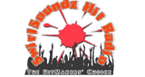 SwirlSoundz Hit Radio LOGO