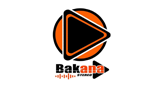 Bakana Stereo LOGO
