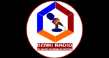 Benki Radio LOGO