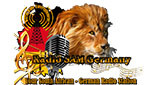 Radio SAM Germany LOGO