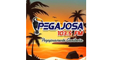 pegajosa 103.5 LOGO