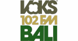 Voks Radio 102 FM Bali LOGO