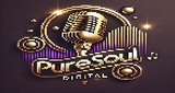 PureSoul Digital (R&B/Soul) LOGO