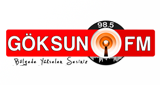 GÖKSUN Fm LOGO