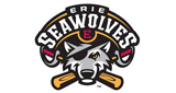 Erie SeaWolves Baseball Network LOGO
