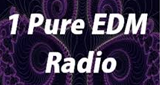 1 Pure EDM Radio LOGO