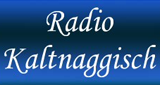 Radio Kaltnaggisch LOGO