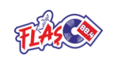Radyo Flaş LOGO
