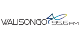 Walisongo FM LOGO