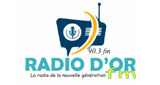 Radio D'or Fm Miragoane LOGO