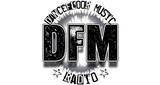 DFM Radio LOGO